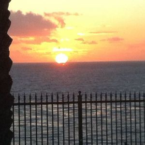 Meet your Posher, Tyra